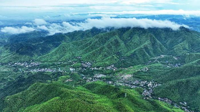 　2023年6月25日拍摄的浙江省湖州市德清县莫干山镇仙潭村&nbsp; 新华社发